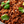 Load image into Gallery viewer, Beef Barbacoa Sauce
